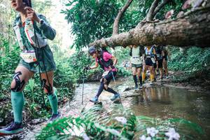 BIB: 
                            <button type="button" onclick="openModal(25461863)" class="btn btn-primary btn-sm float-right btn-popup" data-toggle="modal" data-target=".modal-high-quality">
                        <i class="fas fa-shopping-cart"></i> Add to Cart
                    </button>
                                            <button type="button" onclick="isThisMe(25461863, true)" class="btn btn-success btn-sm float-right btn-popup btn-isme hidden" data-toggle="tooltip" data-placement="bottom" title="นี่คือรูปของคุณใช่ไหม คลิกที่นี่เพื่อเอาเข้าอัลบั้ม">
                        <i class="fas fa-plus"></i> Add to album
                    </button>
                    <button type="button" onclick="isThisMe(25461863, false)" class="btn btn-warning btn-sm float-right btn-popup btn-isnotme hidden">
                        <i class="fas fa-ban"></i> Remove from album
                    </button>